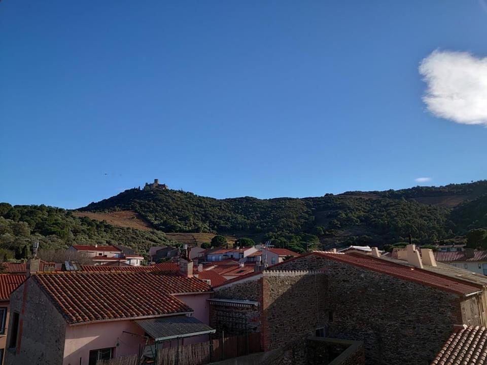 5Demo54 - Appartement Tres Proche Plage Et Toutes Commodites Collioure Zewnętrze zdjęcie