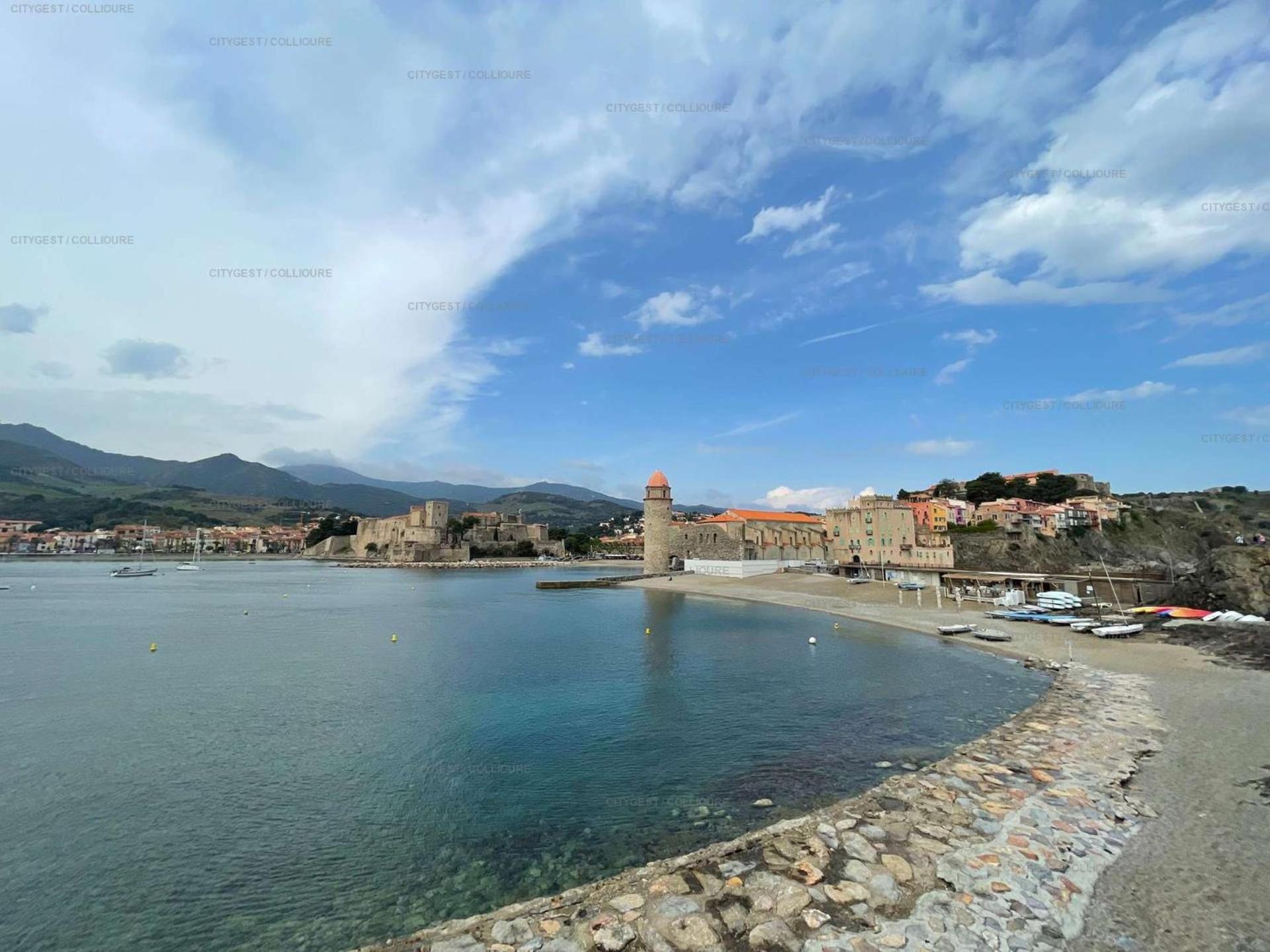 5Demo54 - Appartement Tres Proche Plage Et Toutes Commodites Collioure Zewnętrze zdjęcie
